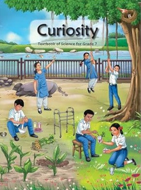 NCERT Curiosity Textbook