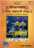Chitramay Gita