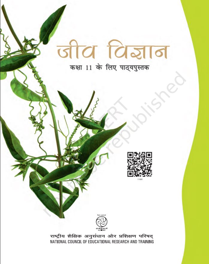 NCERT Biology Class 11 Textbook For Jeev Vigyan Hindi Medium Latest Edition 2026-27 Code 11081