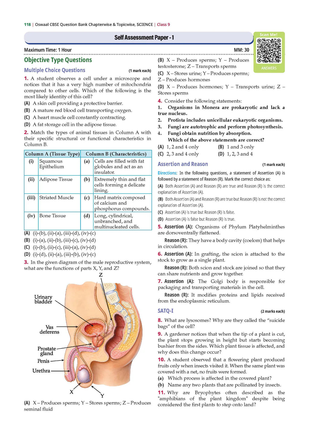 Oswaal CBSE Question Bank Class 9 Chapterwise And Topicwise