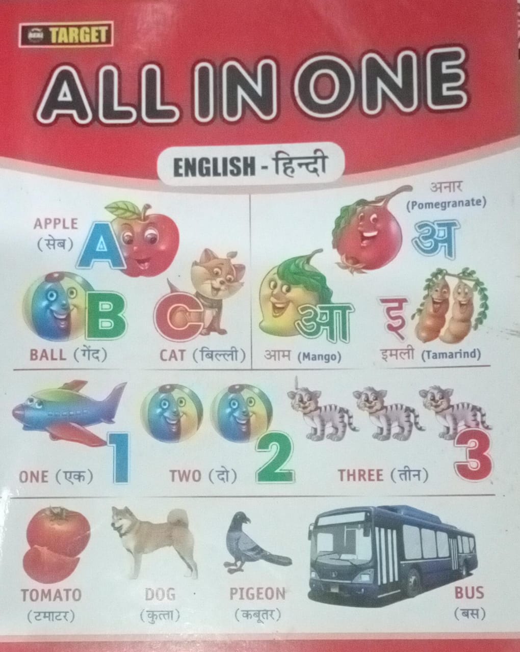 ALL IN ONE ENGLISH-HINDI Book  Sri Janta Book Sytal  Hindi Paperback