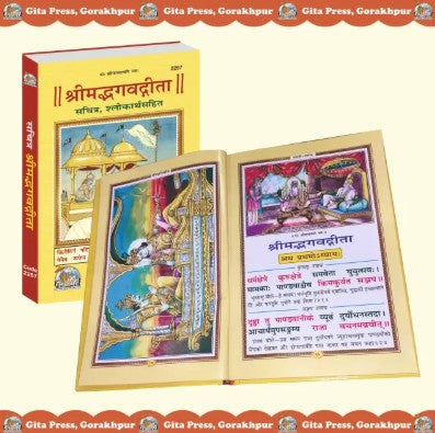 Shrimad bhagwat Gita Sachitra Illustrated 