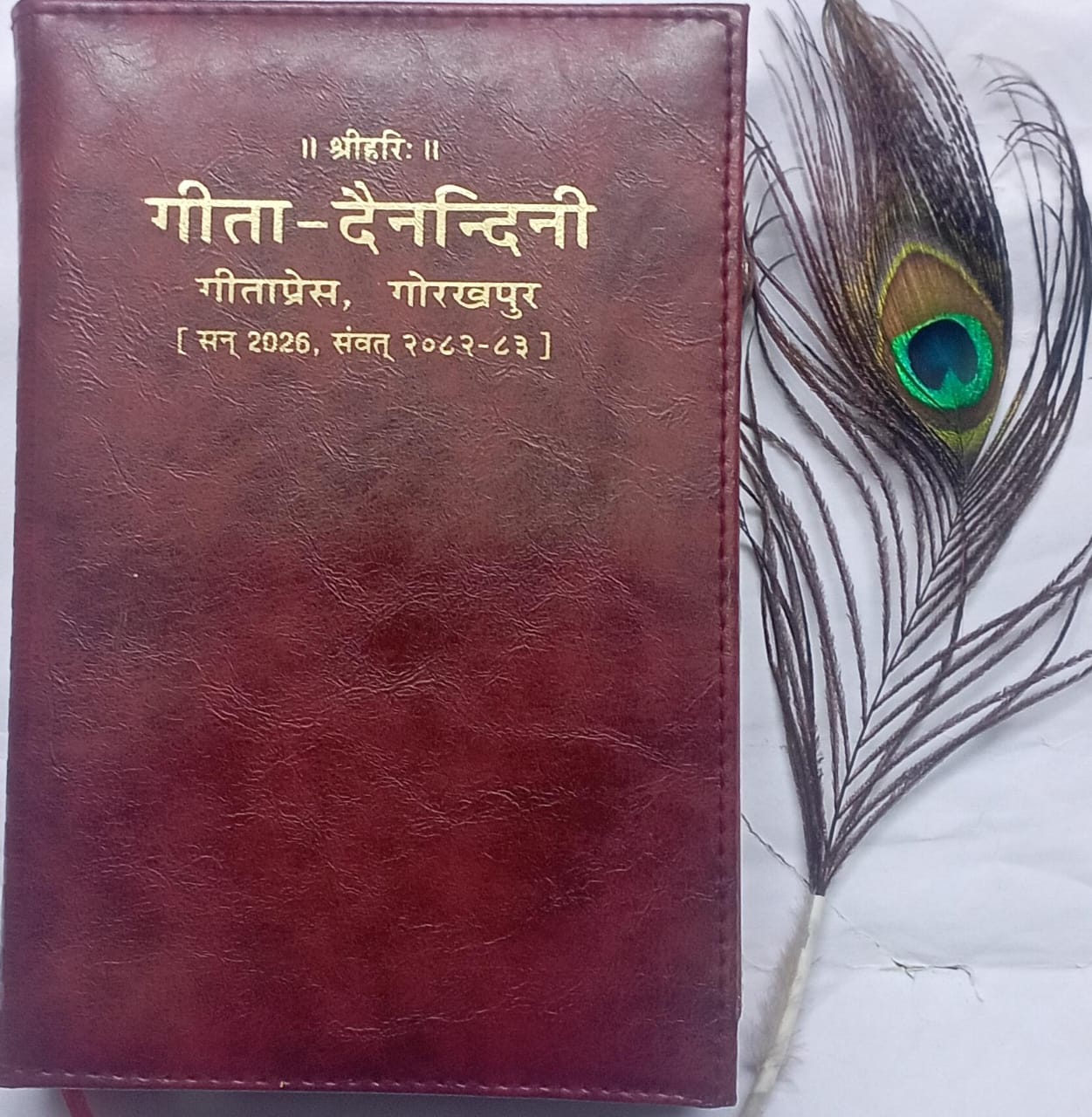 Brown leather book with gold text on a white background with a peacock feather