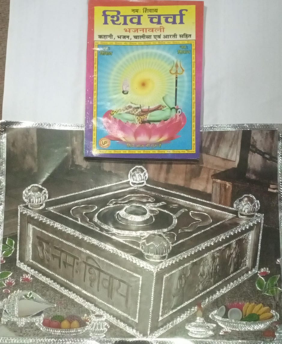 Silver Shiva Lingam with a book in the background on a white wall.