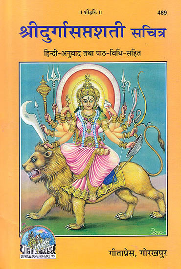 Book cover with illustration of a deity on a lion and text in a foreign language
