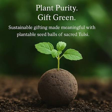 Tulsi Chalisa Hindi Book With Free Tulsi Beej (Basil Seeds) Tulsi Seeds तुलसी के बीज Indian Holy Basil (Desi Tulsi) Seeds For Home gardening (7 Seeds) High Germination/ Easy to Grow