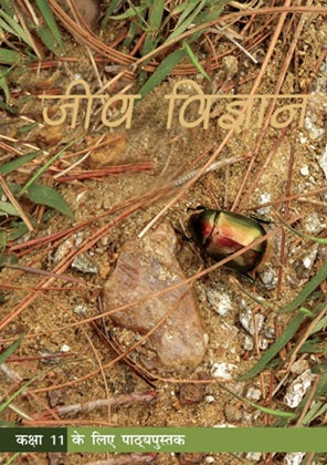 NCERT Biology Class 11 Textbook For Jeev Vigyan Hindi Medium Latest Edition 2026-27 Code 11081